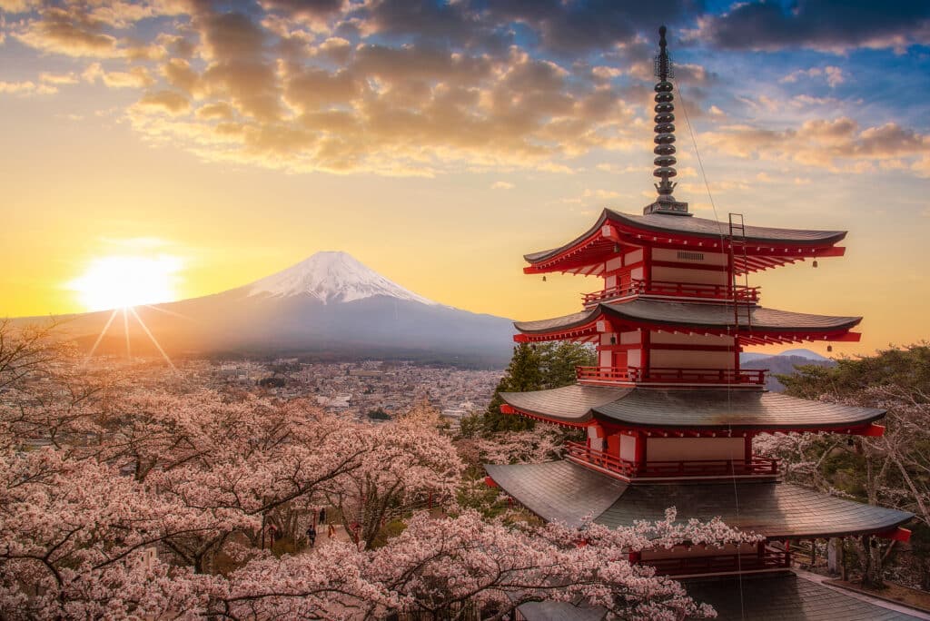 Best Family-Friendly Travel Destinations for 2025 with Tripps Now