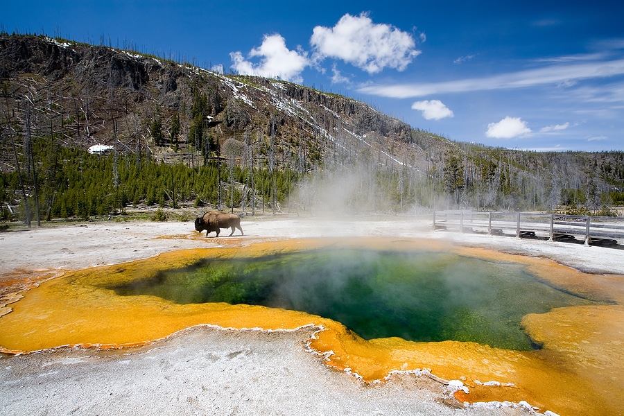 Best Family-Friendly Travel Destinations for 2025 with Tripps Now 4