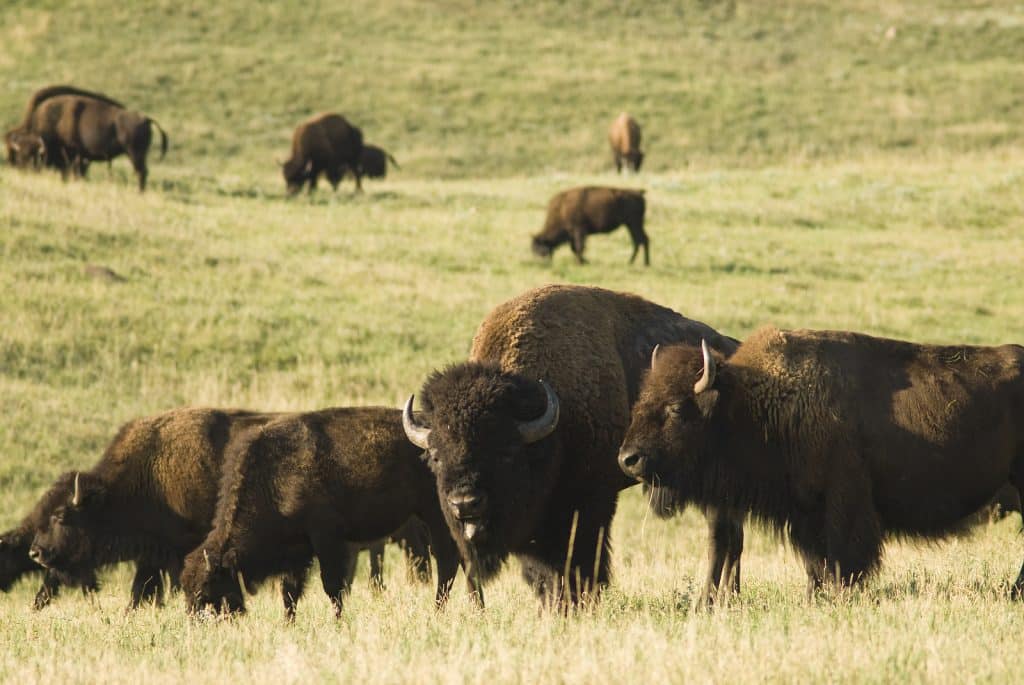 Tripps Now Reviews Nature-focused Destinations for Families