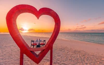 Tripps Now Reviews Top Travel Options for Different Vacation Styles